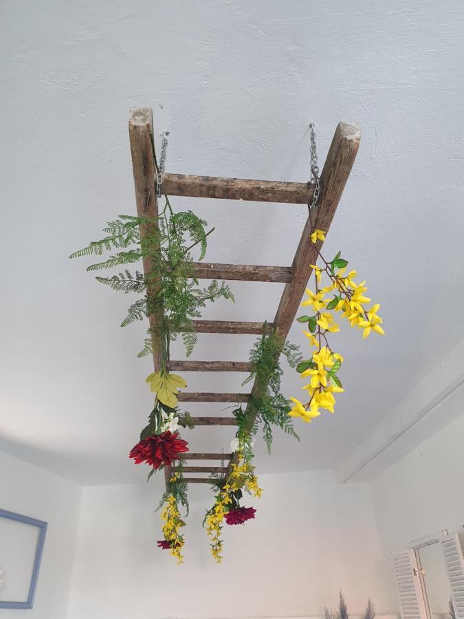 Infresh Holiday House Σίμπενικ Εξωτερικό φωτογραφία
